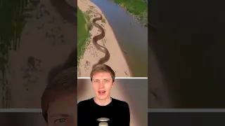 Biggest Snakes Ever Caught On Camera