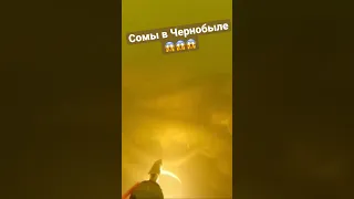 Сомы в Чернобыле просто ЖЕСТЬ 😱😱😱