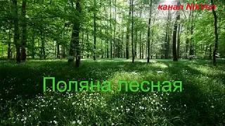 Поляна лесная (народная под баян, видео канал NiK VeN)