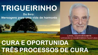 08/11 - TRIGUEIRINHO - CURA E OPORTUNIDADE - TRÊS PROCESSOS DE CURA