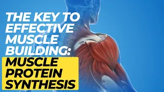 Decoding Muscle Protein Synthesis: The Key to Effective Muscle Building