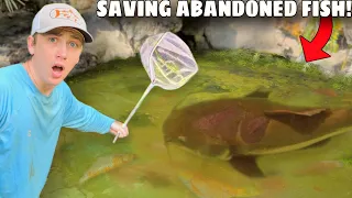 I Saved Abandoned Fish LIVING in Green Slime Pond!