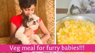 Homemade Vegetarian Dog food | Finally vegetarian recipe for Dogs | ShiHTzu meal | Easy Recipes