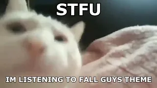 stfu im listening to fall guys theme