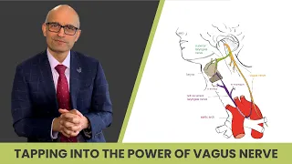 The Vagus Nerve's Power for Weight Loss | Gut Weight Loss