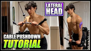 How to do the CABLE TRICEP PUSHDOWN! | 2 Minute Tutorial