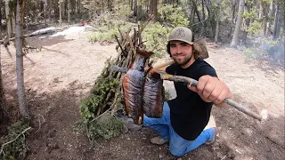 Building a Trout Smoker in the Woods! (Catch, Cook and Camp)