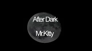 After Dark - Mr.Kitty (Letra Español)
