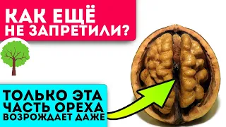 К врачам ни ногой! Настойка от простуды, болей в суставах и спине,  сердце, глазах и даже…