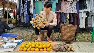 Harvest tubers, oranges, go to the market to sell, my daily life