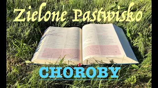 Zielone Pastwisko 7.02.2021 "CHOROBY" [# 391] - Mk 1, 29-39