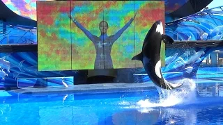 SeaWorld Orlando, Shamu killer whale full show, One Ocean 2015