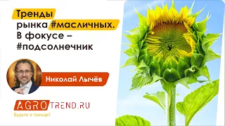 Рынок подсолнечника в 2022 году: ТРЕНДЫ АПК 2023 | Николай Лычёв