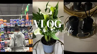 Silent vlog : Road to 1k!! |calm realistic day as an introvert| grocery shopping #vlog #dayinmylife