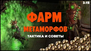 [PoE 3.15] Легкий способ фарма валюты ★ Метаморфы в Покое Валдо ★ Тактика и Советы