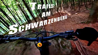 Mountainbiken im Saarland | Trails am Schwarzenberg