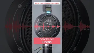 【REAL SOUND】 Audeze MM-500 🆚 Sennheiser HD600