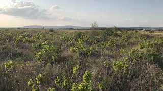 Обидно за Олега Зубкова и Крым!