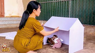 Mom and YinYin built a new house for the dog Mit.