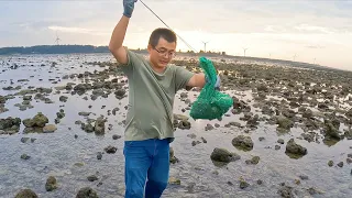 渔夫环岛闲逛，随便赶了个海，半小时抓的海鲜吃不完了