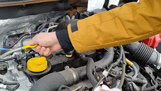 🛢️ Engine OIL COLOUR and Level after 15000 km | Dacia Sandero Stepway III 2021/23 1.0 TCe ECO-G