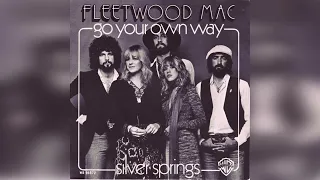 Fleetwood Mac - Go Your Own Way (Backing Track for Guitar Solo) HQ superb
