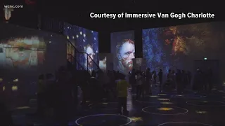 Immersive Experience arrives in Charlotte this summer