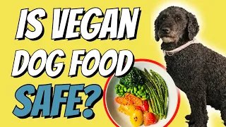 Is Vegan Dog Food Safe?