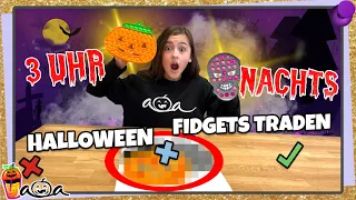 3 UHR NACHTS Halloween FIDGETS TRADEN! Was passiert? 💜 Alles Ava