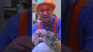 Pet Cats with Blippi! #shorts #play #learning #animals #fun #educational #blippi #kidsvideos