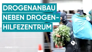 Polizei hebt riesige Cannabis-Plantage in NRW aus: Gras direkt neben der Wache