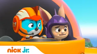 Отважные птенцы | Род спасает медвежонка | Nick Jr. Россия