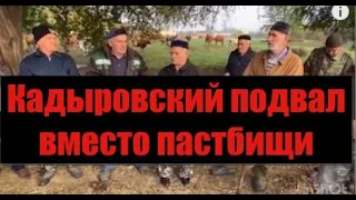 В Чечне похители Эктумаева Салаха Он посмел пожаловаться