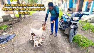 A boy from Kolkata feeds 48 stray dogs every day, this is an example of humanity #dog #straydogs #1k