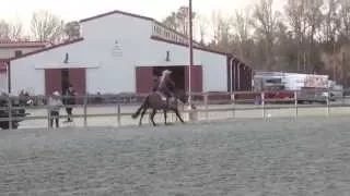 Memorable Revolution Ranch Riding