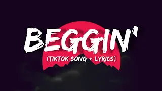 Maneskin - Beggin' (TikTok Song + Lyrics)