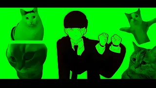 猫ミーム×Bling-Bang-Bang-Born 【Lyric Video】