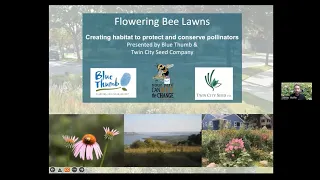 Flowering Bee Lawns with James Wolfin