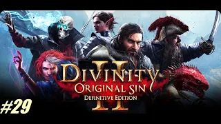 Divinity: Original Sin 2 Gameplay Walkthrough / Part 29 - Hide & Seek, Carver's Investigation: Higba