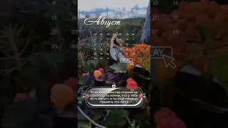 Доброе утро августа!🌷🌷🌷