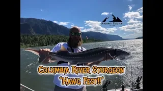 Sturgeon Fishing on the Columbia River *Looking For Giants!*