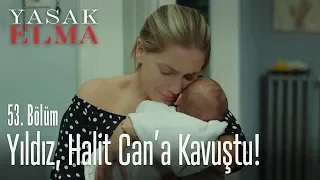 Halit, bebeği nasıl buldu? - Yasak Elma 53. Bölüm