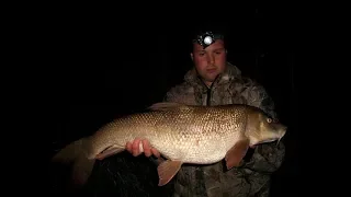 River Trent barbel and an eel