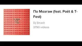 DJ Smash, Poet, T-Fest - По мозгам