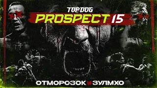 TOP DOG: PROSPECT 15, Подольск | Отморозок VS Зулмхо