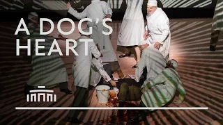 Raskatov's A Dog's Heart by Dutch National Opera