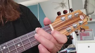 Single Finger, 2 Chord Ukulele Song for Beginners