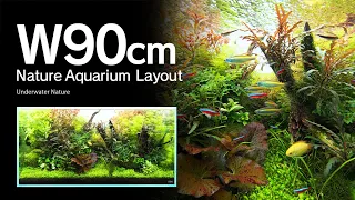 [ADAview] Underwater Nature 水中の大自然 -W90cm NatureAquarium Layout-【EN/JP Sub.】