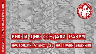 РНК и ДНК создали разум | НАСТОЯЩИЙ АТЕИСТ 3: НА ГРАНИ БЕЗУМИЯ (отрывок)