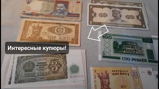 Нечастые боны Молдовы. Пополнение коллекции банкнот мира! Coins and Banknotes